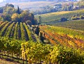 Vigneti e ville storiche della Valpolicella: arte, storia e paesaggio